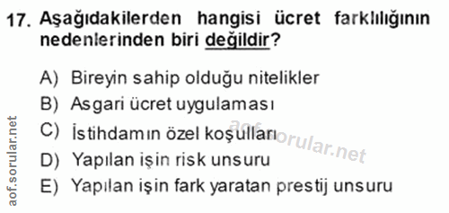 17. soru: Aşağıdakilerden hangisi ücret farklılığının nedenlerinden biri değildir? A) Bireyin sahip olduğu nitelikler C) istihd…