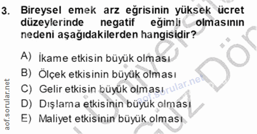 3. soru: Bireysel emek arz eğrisinin yüksek ücret düzeylerinde negatif eğimli olmasının nedeni aşağıdakilerden hangisidir? A)…