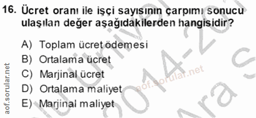 16. soru: Ücret oranı ile işçi sayısının çarpımı sonucu ulaşılan değer aşağıdakilerden hangisidir? A) Toplam ücret ödemesi B) O…