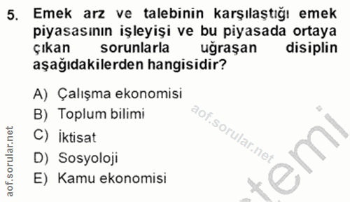 5. soru: Emek arz ve talebinin karşılaştığı emek piyasasının işleyişi ve bu piyasada ortaya çıkan sorunlarla uğraşan disiplin…