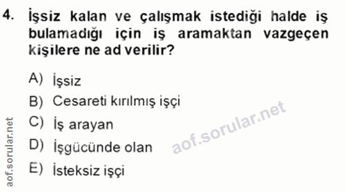 4. soru: İşsiz kalan ve çalışmak istediği halde iş bulamadığı için iş aramaktan vazgeçen kişilere ne ad verilir? A) İşsiz B) C…
