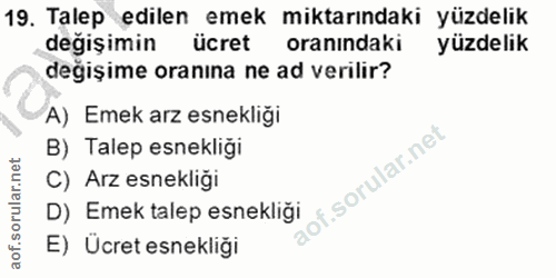 19. soru: Talep edilen emek miktarındaki yüzdelik değişimin ücret oranındaki yüzdelik değişime oranına ne ad verilir? A) Emek a…