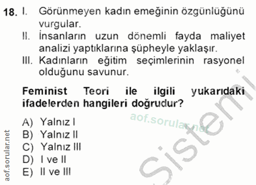 18. soru: I. Görünmeyen kadın emeğinin özgünlüğünü vurgular. Il. İnsanların uzun dönemli fayda maliyet analizi yaptıklarına şüp…