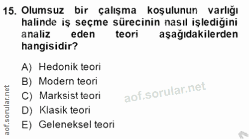 15. soru: Olumsuz bir çalışma koşulunun varlığı halinde iş seçme sürecinin nasıl işlediğini analiz eden teori aşağıdakilerden h…