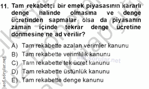 11. soru: Tam rekabetçi bir emek piyasasının kararlı denge halinde olmasına ve denge ücretinden sapmalar olsa da piyasanın zama…