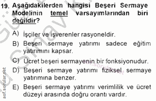 19. soru: Aşağıdakilerden hangisi Beşeri Sermaye Modelinin temel varsayımlarından biri değildir? A) İşçiler ve işverenler rasyo…