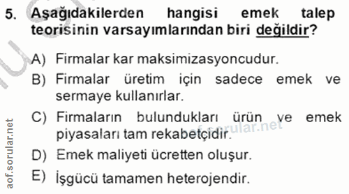 5. soru: Aşağıdakilerden hangisi emek talep teorisinin varsayımlarından biri değildir? A) Firmalar kar maksimizasyoncudur. B)…