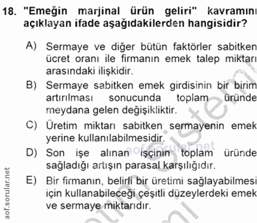 18. soru: "Emeğin marjinal ürün geliri" kavramıni açıklayan ifade aşağıdakilerden hangisidir? A) Sermaye ve diğer bütün faktörl…