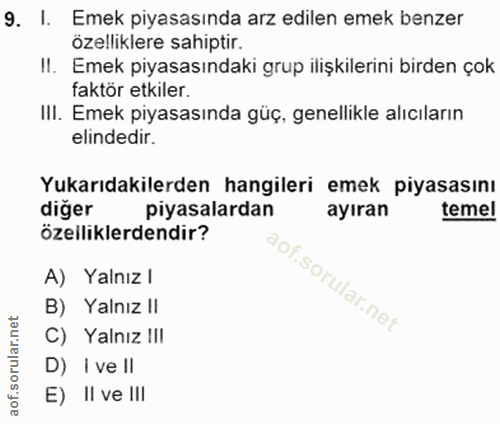 9. soru: I. Emek piyasasında arz edilen emek benzer özelliklere sahiptir. II. Emek piyasasındaki grup ilişkilerini birden çok…