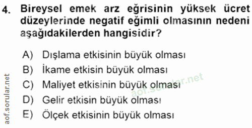 4. soru: Bireysel emek arz egrisinin yüksek ücret düzeylerinde negatif eğimli olmasının nedeni aşağıdakilerden hangisidir? A)…