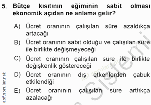 5. soru: Bütçe kısıtının eğiminin sabit olması ekonomik açıdan ne anlama gelir? A) Ücret oranının çalışılan süre azaldıkça art…