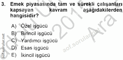 3. soru: Emek piyasasında tam ve sürekli çalışanları kapsayan kavram aşağıdakilerden hangisidir? A) Ozel işgücü B) Birincil iş…