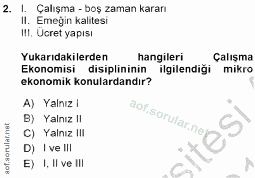 2. soru: I. Çalışma - boş zaman kararı II. Emeğin kalitesi II1. Ucret yapısı Yukarıdakilerden hangileri Çalışma Ekonomisi disi…