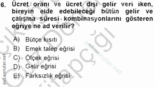 6. soru: Ücret oranı ve ücret dışı gelir veri iken, bireyin elde edebileceği bütün gelir ve çalışma süresi kombinasyonlarını g…