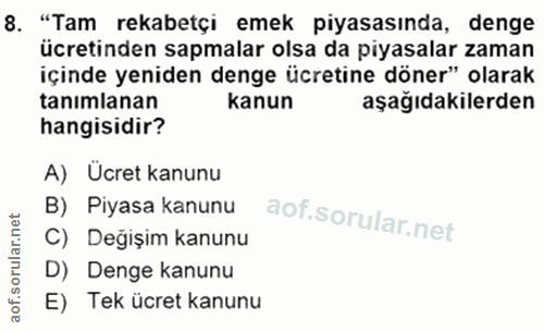8. soru: "Tam rekabetçi emek piyasasında, denge ücretinden sapmalar olsa da piyasalar zaman içinde yeniden denge ücretine döne…
