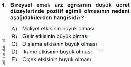 1. soru: Bireysel emek arz eğrisinin düşük ücret düzeylerinde pozitif eğimli olmasının nedeni aşağıdakılerden hangisidir? A) M…
