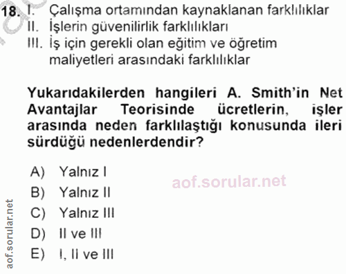 18. soru: I. Çalışma ortamından kaynaklanan farklılıklar /II. İşlerin güvenilirlik farklılıkları III. Iş için gerekli olan eğit…