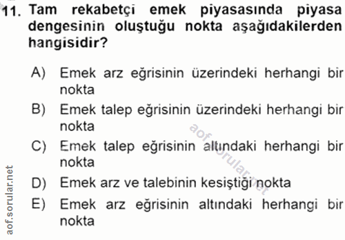 11. soru: Tam rekabetçi emek piyasasında piyasa dengesinin oluştuğu nokta aşağıdakilerden hangisidir? A) Emek arz eğrisinin üze…