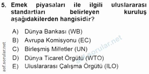 5. soru: Emek piyasaları ile ilgili uluslararası standartiarı belirleyen kuruluş aşağıdakilerden hangisidir? A) Dünya Bankası…