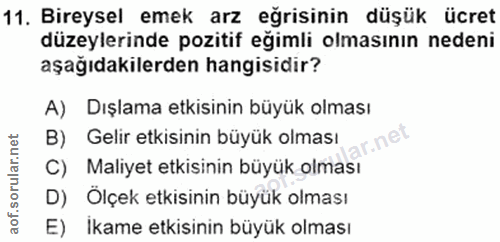 11. soru: Bireysel emek arz eğrisinin düşük ücret düzeylerinde pozitif eğimli olmasının nedeni aşağıdakilerden hangisidir? A) D…