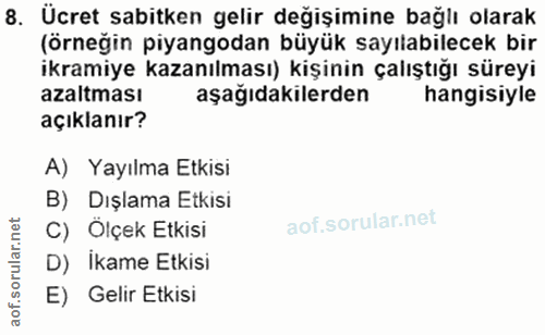 8. soru: Ücret sabitken gelir değişimine bağlı olarak (örneğin piyangodan büyük sayılabilecek bir ikramiye kazanılması) kişini…