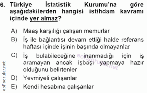 6. soru: Türkiye istatistik Kurumu'na göre aşağıdakilerden hangisi istihdam kavramı içinde yer almaz? A) Maaş karşılığı çalışa…