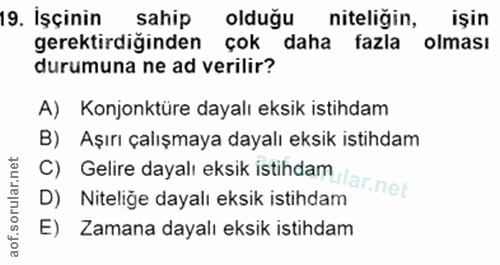 19. soru: İşçinin sahip olduğu niteliğin, işin gerektirdiğinden çok daha fazla olması durumuna ne ad verilir? A) Konjonktüre da…