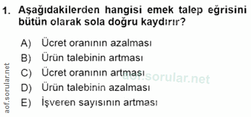 1. soru: Aşağıdakilerden hangisi emek talep eğrisini bütün olarak sola doğru kaydırır? A) Ücret oranının azalması B) Ürün tale…