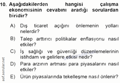 10. soru: Aşağıdakilerden hangisi çalışma ekonomisinin cevabını aradığı sorulardan biridir? A) Dış ticaret açığını/ önlemenin y…
