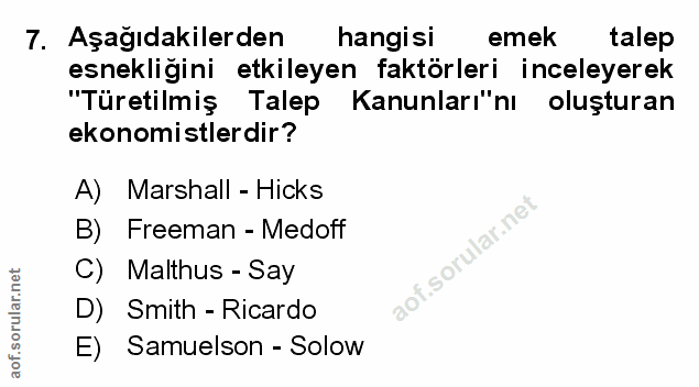 7. soru: Aşağıdakilerden hangisi emek talep esnekliğini etkileyen faktörleri inceleyerek "Türetilmiş Talep Kanunları"ni oluştu…