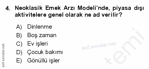 4. soru: Neoklasik Emek Arzı Modeli'nde, piyasa dışı aktivitelere genel olarak ne ad verilir? A) Dinlenme B) Boş zaman C) Ev i…