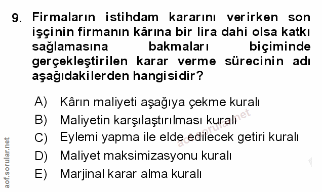 9. soru: Firmaların istihdam kararını verirken son işçinin firmanın kârına bir lira dahi olsa katkı saglamasına bakmaları biçi…