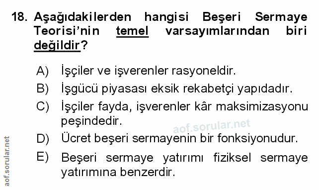 18. soru: Aşağıdakilerden hangisi Beşeri Sermaye Teorisi'nin temel varsayımlarından biri değildir? A) Işçiler ve işverenler ras…