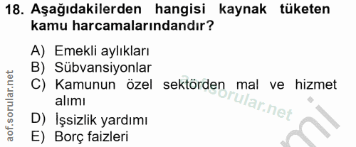18. soru: Aşağıdakilerden hangisi kaynak tüketen kamu harcamalarındandır? A) Emekli aylıkları B) Sübvansiyonlar C) Kamunun özel…