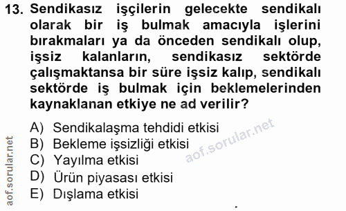 13. soru: Sendikasız işçilerin gelecekte sendikalı olarak bir iş bulmak amacıyla işlerini bırakmaları ya da önceden sendikalı o…