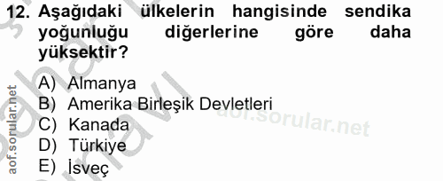 12. soru: Aşağıdaki ülkelerin hangisinde sendika yoğunluğu diğerlerine göre daha yüksektir? A) Almanya B) Amerika Birleşik Devl…
