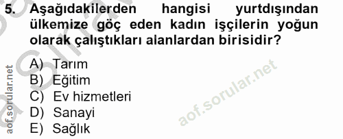 5. soru: Aşağıdakilerden hangisi yurtdışından ülkemize göç eden kadın işçilerin yoğun olarak çalıştıkları alanlardan birisidir…