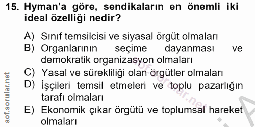 15. soru: Hyman'a göre, sendikaların en önemli iki ideal özelliği nedir? A) Sınıf temsilcisi ve siyasal örgüt olmaları B) Organ…
