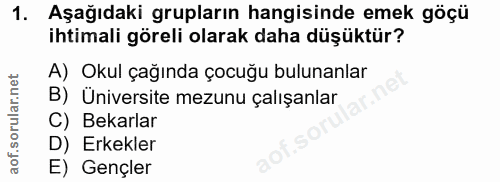 1. soru: Aşağıdaki grupların hangisinde emek göçü ihtimali göreli olarak daha düşüktür? A) Okul çağında çocuğu bulunanlar B) Ü…