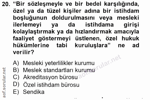 20. soru: "Bir sözleşmeyle ve bir bedel karşılığında, özel ya da tüzel kişiler adına bir istihdam boşluğunun doldurulmasını vey…