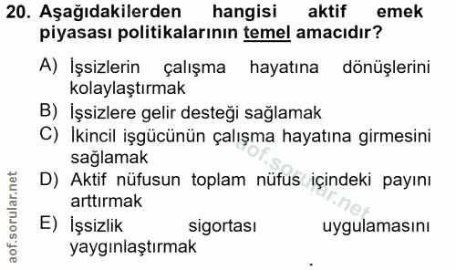 20. soru: Aşağıdakilerden hangisi aktif emek piyasası politikalarının temel amacıdır? A) İşsizlerin çalışma hayatına dönüşlerin…