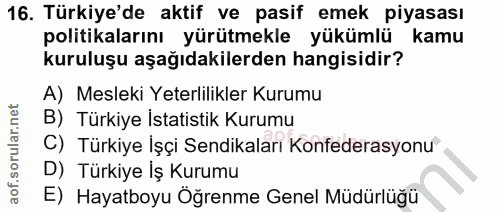 16. soru: Türkiye'de aktif ve pasif emek piyasası politikalarını yürütmekle yükümlü kamu kuruluşu aşağıdakilerden hangisidir? A…