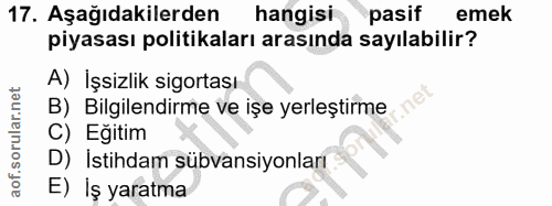 17. soru: Aşağıdakilerden hangisi pasif emek piyasası politikaları arasında sayılabilir? A) İşsizlik sigortası B) Bilgilendirme…
