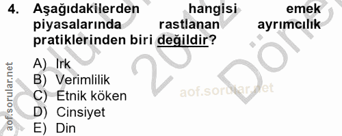 4. soru: Aşağıdakilerden hangisi emek piyasalarında rastlanan ayrımcılık pratiklerinden biri değildir? A) Irk B) Verimlilik C)…