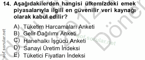 14. soru: Aşağıdakilerden hangisi ülkemizdeki emek piyasalarıyla ilgili en güvenilir veri kaynağı olarak kabul edilir? A) Tüket…
