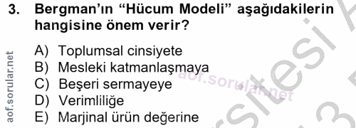 3. soru: Bergman'ın "Hücum Modeli" aşağıdakilerin hangisine önem verir? A) Toplumsal cinsiyete B) Mesleki katmanlaşmaya C) Beş…