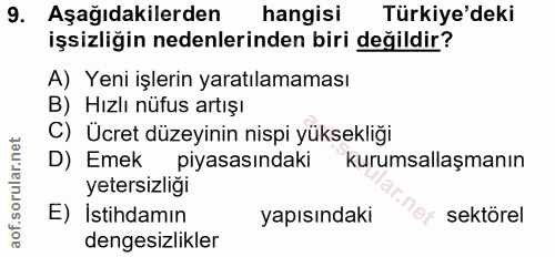 9. soru: Aşağıdakilerden hangisi Türkiye'deki işsizliğin nedenlerinden biri değildir? A) Yeni işlerin yaratılamaması B) Hızlı…