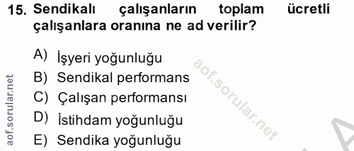 15. soru: Sendikalı çalışanların toplam ücretli çalışanlara oranına ne ad verilir? A) İşyeri yoğunluğu B) Sendikal performans C…