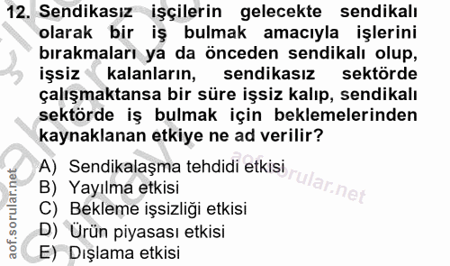 12. soru: Sendikasız işçilerin gelecekte sendikalı olarak bir iş bulmak amacıyla işlerini bırakmaları ya da önceden sendikalı o…