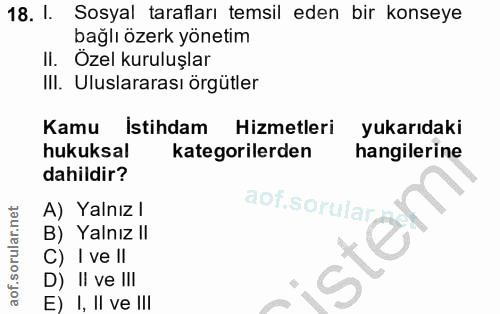 18. soru: 1. Sosyal tarafları temsil eden bir konseye bağlı özerk yönetim II. Özel kuruluşlar IlI. Uluslararası örgütler Kamu I…